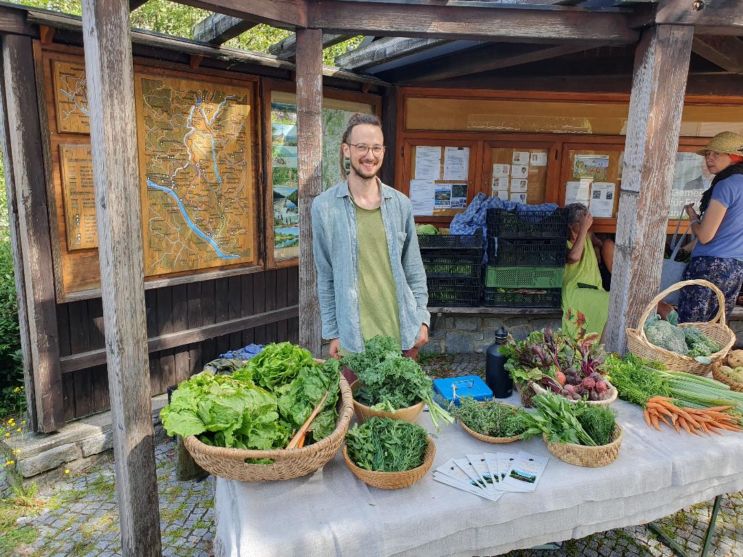Herbstkulturen, Marktverkauf