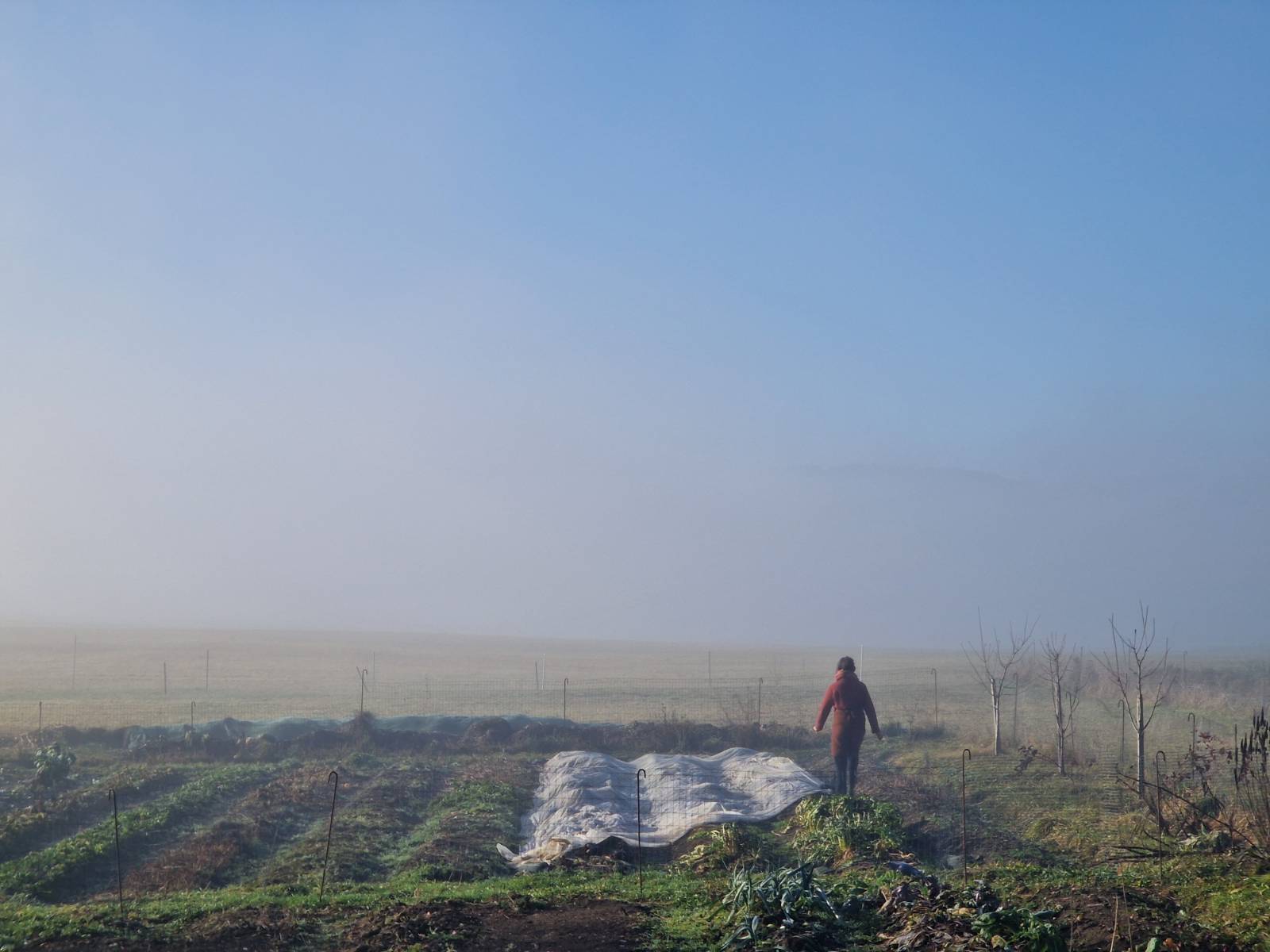 Bio-Umstellung und Freie Entnahme